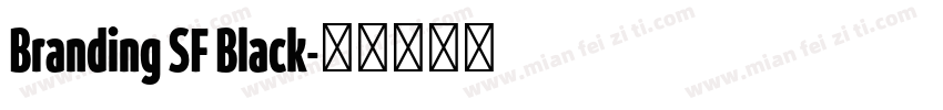 Branding SF Black字体转换